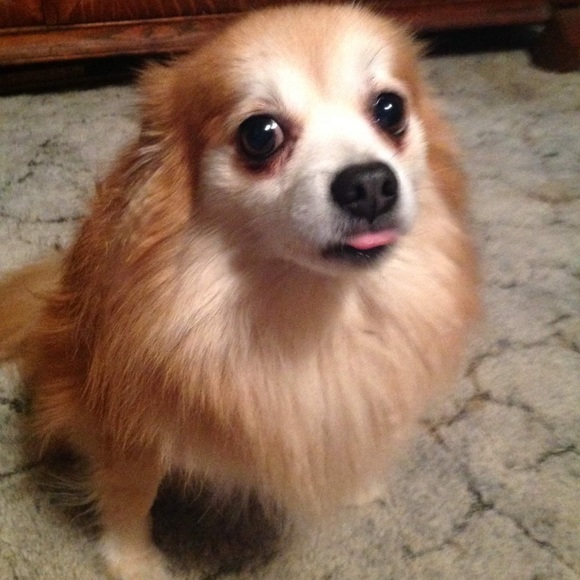 Meet your Posher, R - Picture 2 of 8